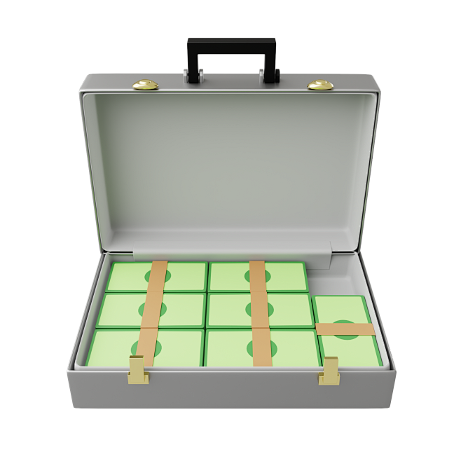 suitcase-with-cash