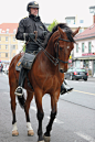 搜了半天，就找到几张图。这个#挪威骑警#叫#Rolf Eriksen# ，他的爱马叫Tyr。