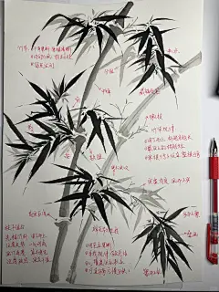 国画竹子教程（超详细，附带步骤）简单易学 - 小红书