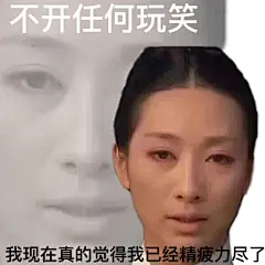 甄嬛传表情包工作日我的心情