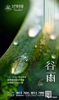 节气稿 | 房地产谷雨海报文案精选-100套 : 现在加入，解锁12000＋份最新地产案例资源！