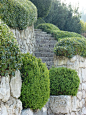 (856) Pinterest
