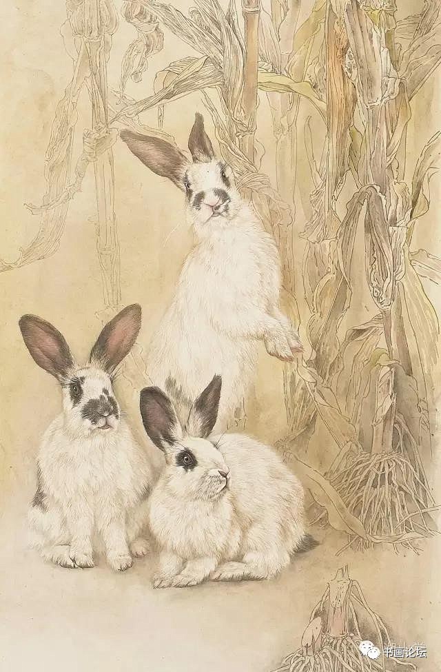 工笔动物画大家---李喆专辑
