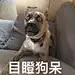 目目目目日