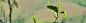 图层 16