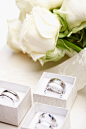 室内,组物体,无人,工作室,影棚拍摄_gic8239379_wedding rings and a white roses_创意图片_Getty Images China