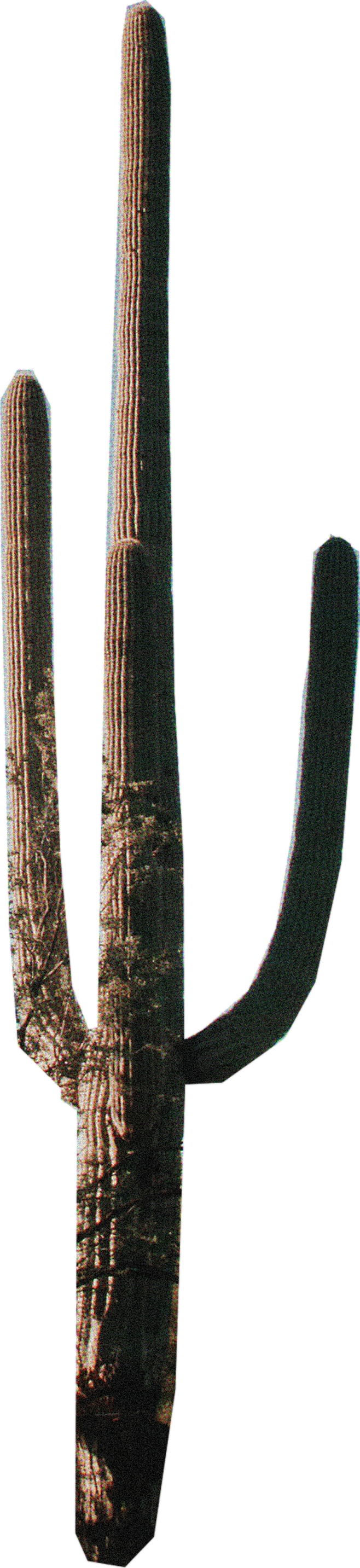 R22