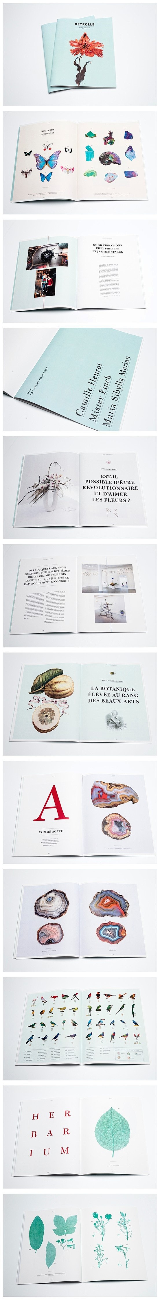 Deyrolle magazine on...