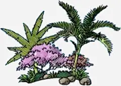 手绘园林植物椰树高清素材 页面网页 平面电商 创意素材 png素材