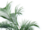 夏季上新通用海报_设计页－稿定设计