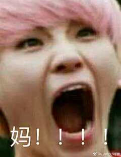 文婷牌表情包，不服不行