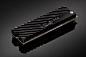Black SN750 SSD 另會推出 EKWB 散熱片版本