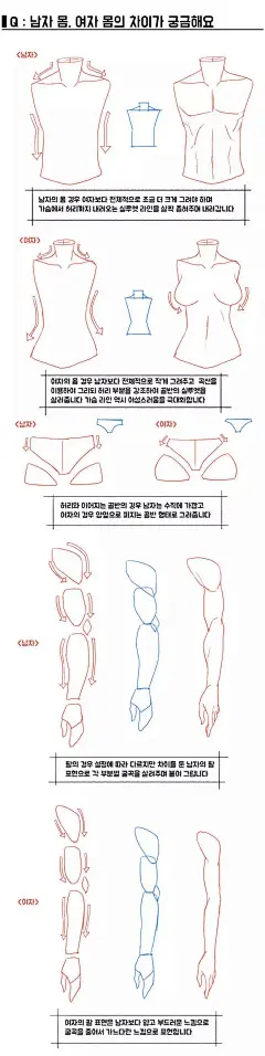 【绘画教程】画师 taco 的教你树立正确的人体观念（人体教程）
这周过得特别快
终于到了愉快的周末了

今天分享一个人体教程
但是由于板君不懂韩语
虽然以前也经常看各种韩剧
所以就没有翻译这个教程了哈

不过板君看了下内容
其实看看图大都可以了解
大家可自学或者找个会韩语的人哈

整个教程内容挺丰富的
包括人体的肢体如手臂、腿等
包括男女的区别画法及眼镜画法等

画师 / taco
图片来源 / @原画人官方微博
版权归原作者所有，转载请注明出处