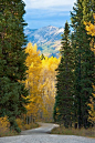 Just Driving... Colorado, US