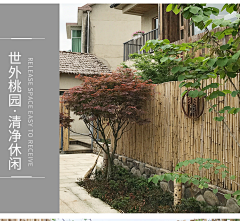 Pna1采集到田园