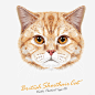 萌宠小猫免抠png素材_新图网ixintu.com