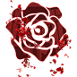 1fb8378daf3c53801dacce1c24852df2c2fa30561629b-e3RMgb_fw1200