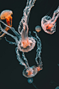 mathilda-khoo-J_REyyXY14s-unsplash
