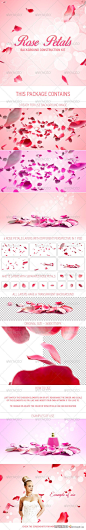 玫瑰花花瓣雨背景PSD模板 Rose Petals Background Construction kit-psd素材-飞天资源论坛