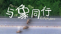 夏木凉安采集到影视banner