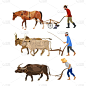 耕犁,农民,动物,陆地,牛,矢量,乡村,原始主义,农场,水牛
