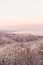 takahiro-taguchi-548324-unsplash