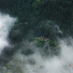 辛碧拉采集到意境庄严大气