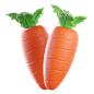 Carrot 3D Illustration