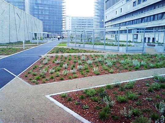 Green roofs in Copen...
