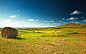 General 2560x1600 landscape nature field
