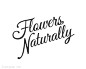 标志说明：FlowersNaturally花店标志设计。