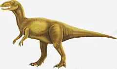 恐龙简图高清素材 黄色 设计图片 免费下载 页面网页 平面电商 创意素材 png素材