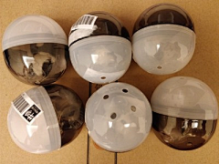 城市运气采集到动物模型系列