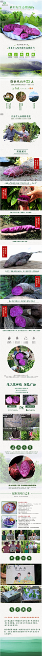 新鲜土特产蔬菜原生态紫山药长芋非铁棍山药紫玉淮山全国包邮-淘宝网