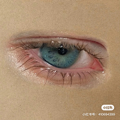 董布利多采集到眼睛