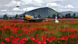 Poppies and propellers