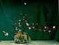 Arranging-Flowers10