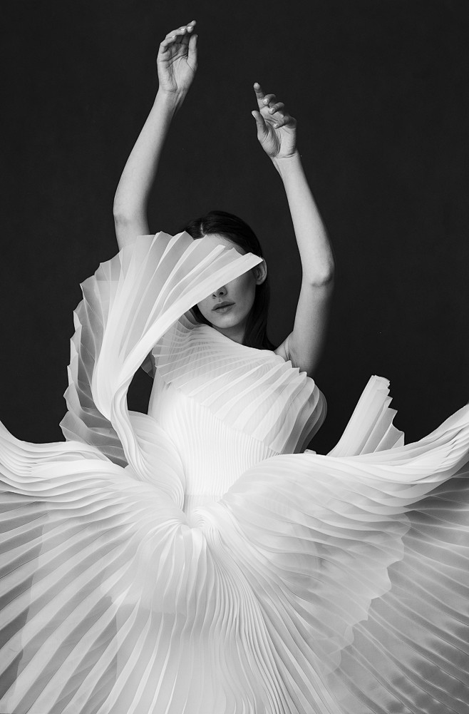 Swan Lake : My main ...