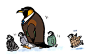 #Kingsman#kings penguin！http://t.cn/RAfrQ07