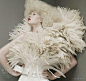 St. Pucchi 2012 couture bridal collection
