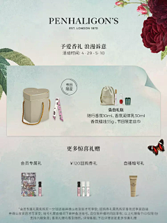 迷糊小狸采集到私域