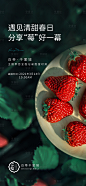 草莓 AI广告设计素材海报模板免费下载-享设计