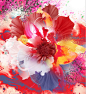 [kahori maki 花束]2012/.年12/.月24日来自日本多媒体艺术家kahori maki 的一组橱窗背景插画设计。抽象而又炫目的手绘花朵，恣意而又优雅的作品# 创意# 设计# 视觉# 插画# 艺术2012/.年12/.月24日热度21分享1回复喜欢同时分享王昊vif18:00发布回复显示较早之前的这里是热度二期"头像分布"