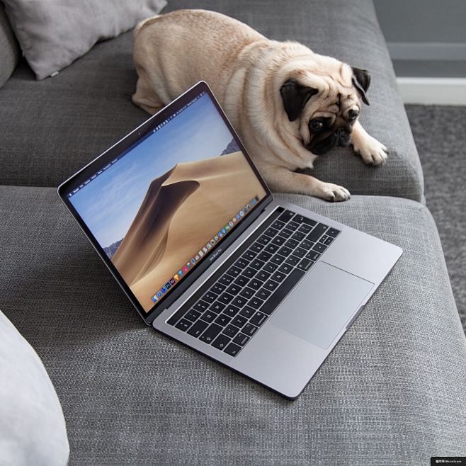 哈巴狗 MacBook Pro 笔记本电...