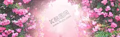 花景观 【酷图网】金钟,心脏草,吊钟花花卉,花海,花景,花束,鲜花,干花,花儿,假花,花朵,花蕊,草木,插花,花艺,园艺,景观,花店,赏花,订花,花篮,求婚,爱情,唯美,清新,浪漫,背景,花朵背景,鲜花背景,花卉背景,花朵壁纸,鲜花壁纸,花草壁纸,植物壁纸,电脑壁纸,手机壁纸,毛地黄花,摄影,生物世界,花草