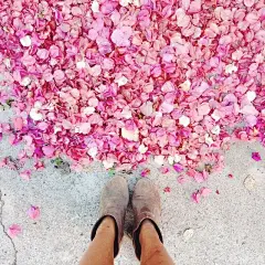 #壁纸##静物##人像##摄影# #小清新# #美景# #创意# #摄影师#