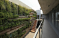 3d vertical garden / Zentro Office Building and Commercial