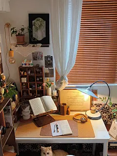 нёιιö 在冬天⛄️解锁一个毛绒绒的小卧室