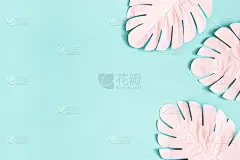 夏天组成。蓝色背景上的粉色棕榈叶。夏天的概念。平铺，俯视图，拷贝空间