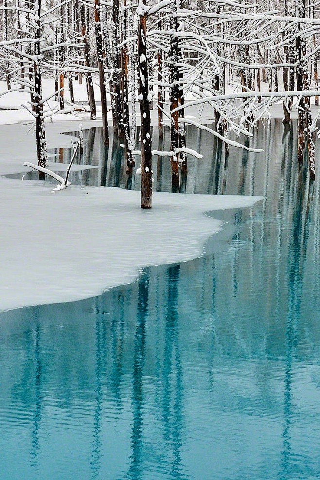 蓝池及阳春白雪，北海道肯特白石 